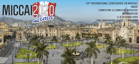 Towards entry "MICCAI 2020 Deadline Passed – 17 Full Submissions"