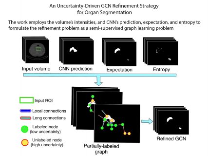 Towards entry "Invited Talk – Roger David Soberanis Mukul (TUM): An Uncertainty-based Graph Convolutional Network for Organ Segmentation Refinement, May 18th, 16h CET"