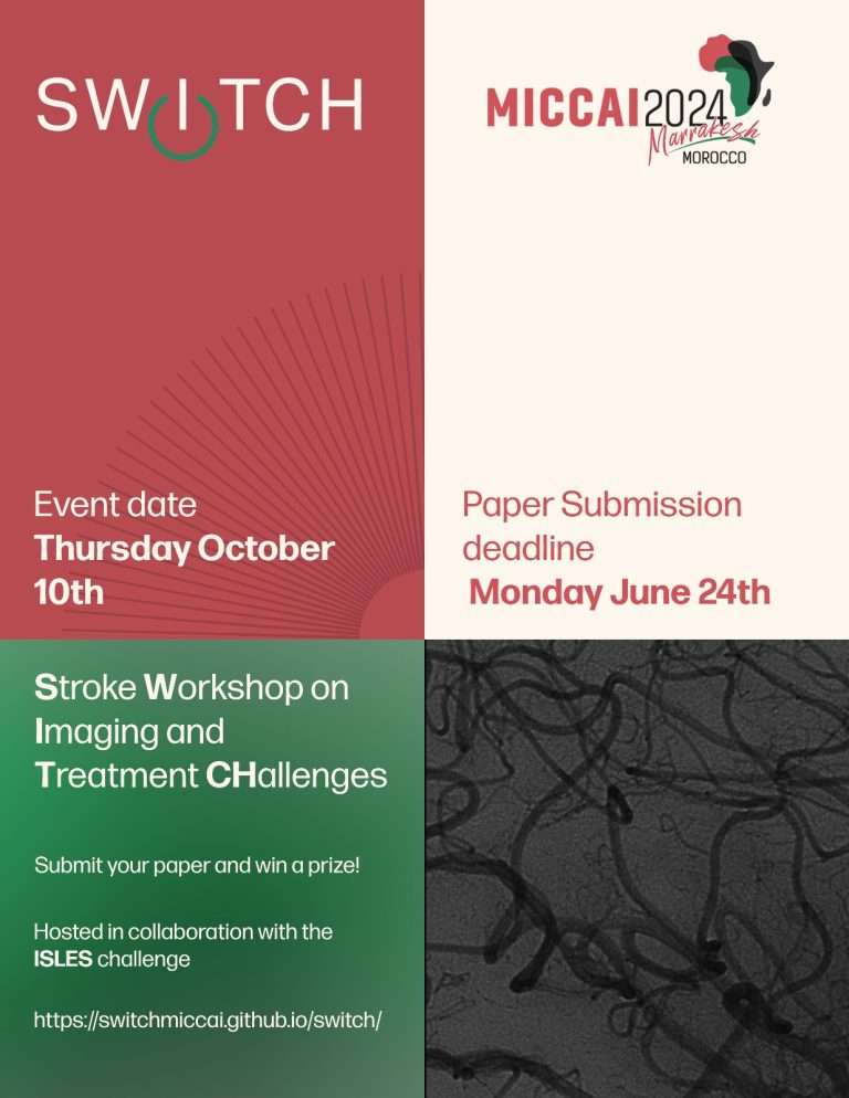 SWITCH24: Stroke workshop at MICCAI 24